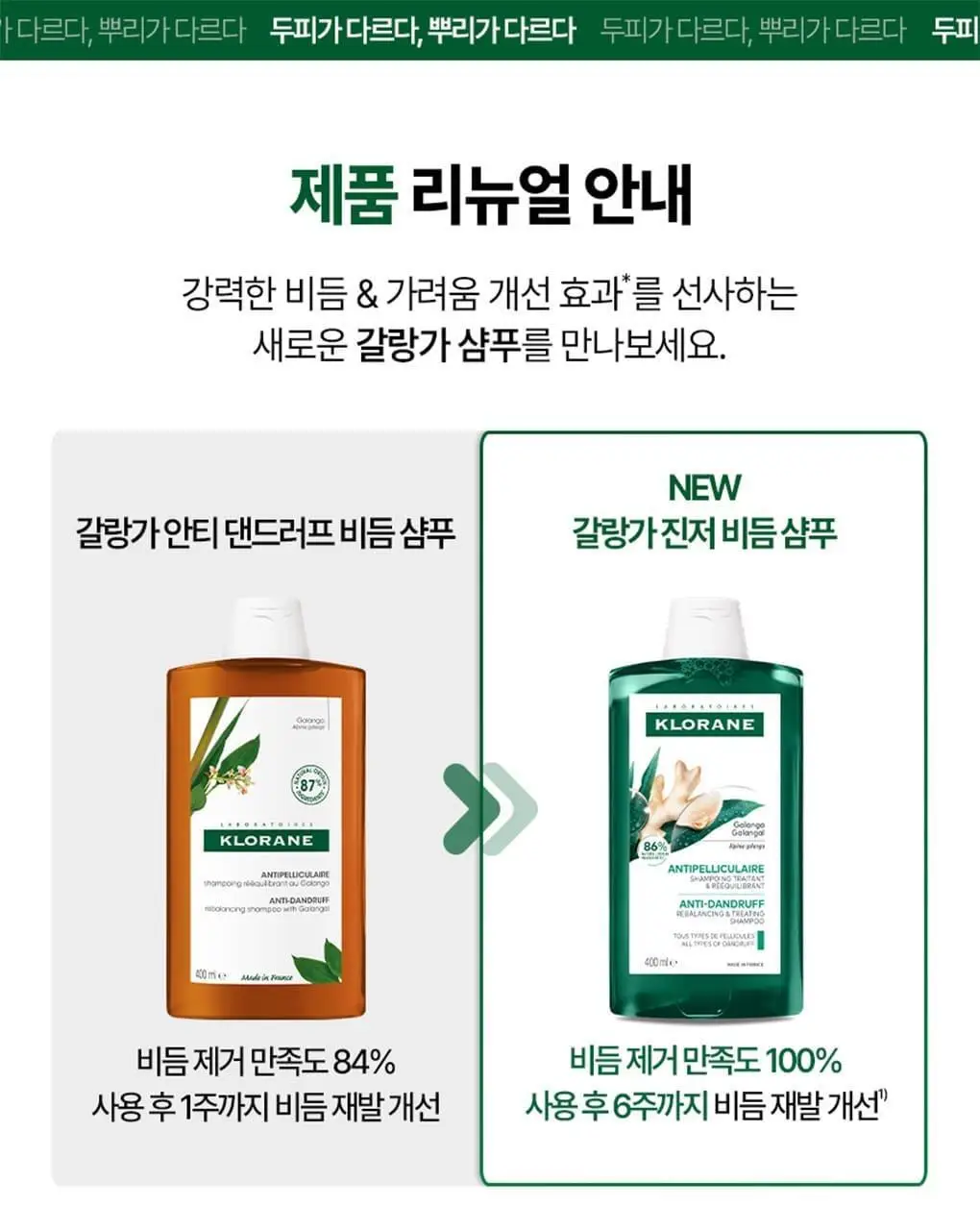 [지루성두피&가려움케어] 클로란 갈랑가 진저 비듬샴푸400ml 상세페이지 4